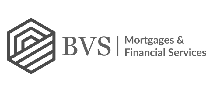 2020 - BVS logo 