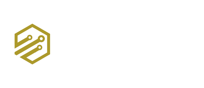 BVS accounting logo